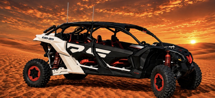 2 / 4 Seater Can-Am Buggy