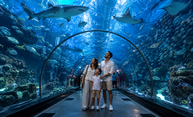 Dubai Aquarium & Underwater Zoo